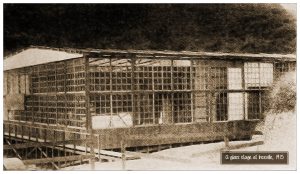 Inceville glass stage 1915