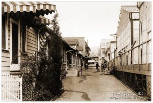 Famous Players Lasky Looking North Toward Selma 1923