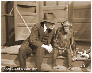 Selig And Smoking Chimp