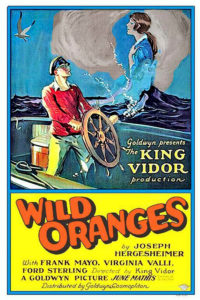 Vidor Poster06